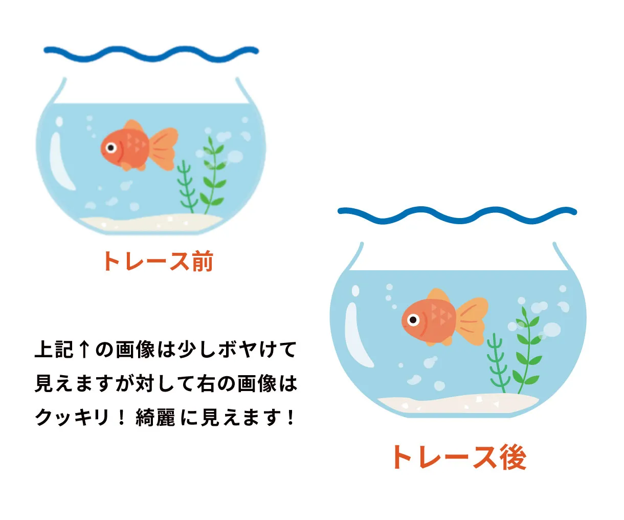 GF_kokonara